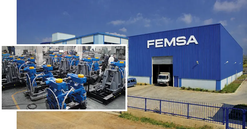 FEMSA Endüstri